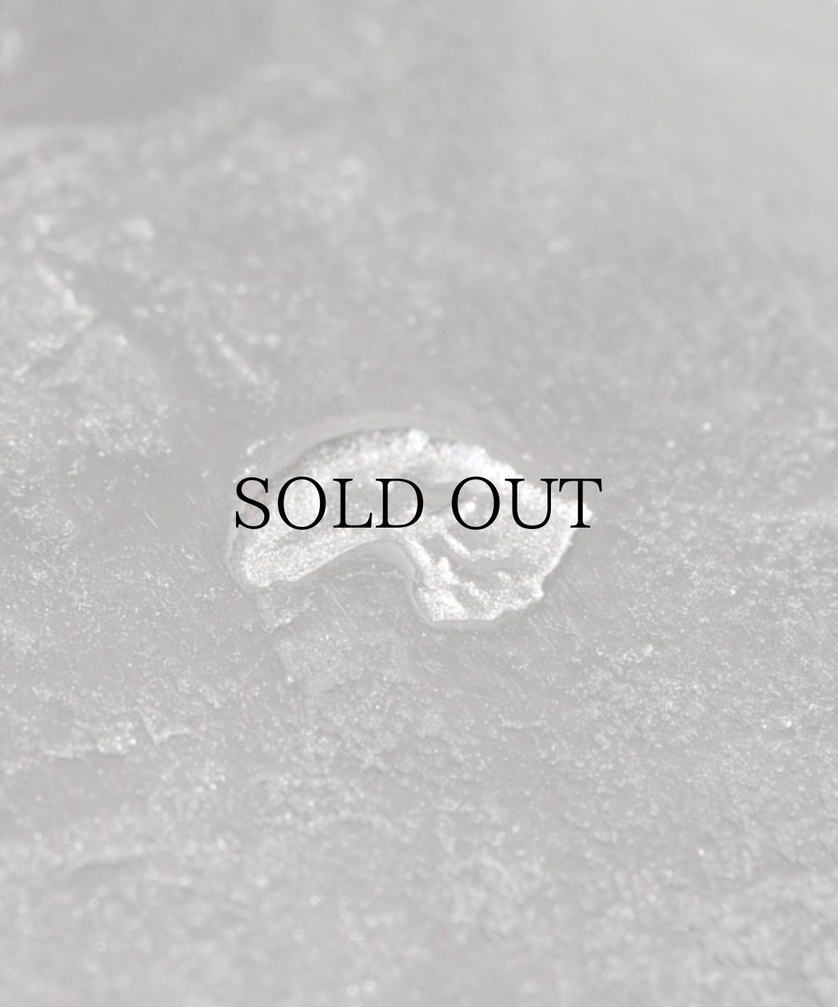 画像4: LARRY SMITH(ラリースミス) / EAGLE HEAD PENDANT (18K GOLD ACCENT) (4)