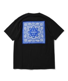 画像5: LFYT(ラファイエット) /【LIMITED】 LF PAISLEY TEE  (5)