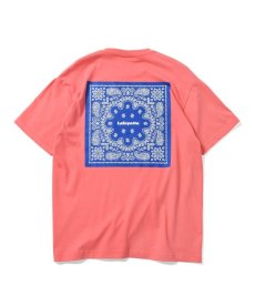 画像9: LFYT(ラファイエット) /【LIMITED】 LF PAISLEY TEE  (9)