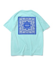 画像11: LFYT(ラファイエット) /【LIMITED】 LF PAISLEY TEE  (11)