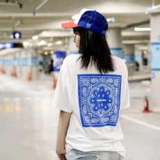 画像18: LFYT(ラファイエット) /【LIMITED】 LF PAISLEY TEE  (18)