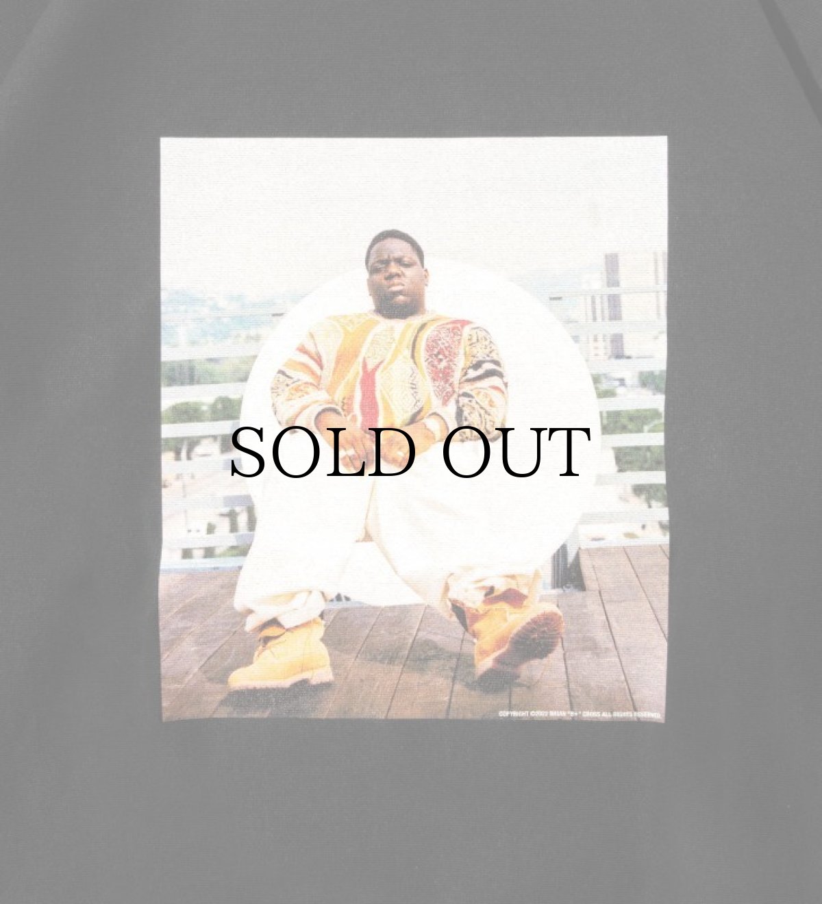 画像5: APPLEBUM(アップルバム) / "NBG" Crew Sweat (5)