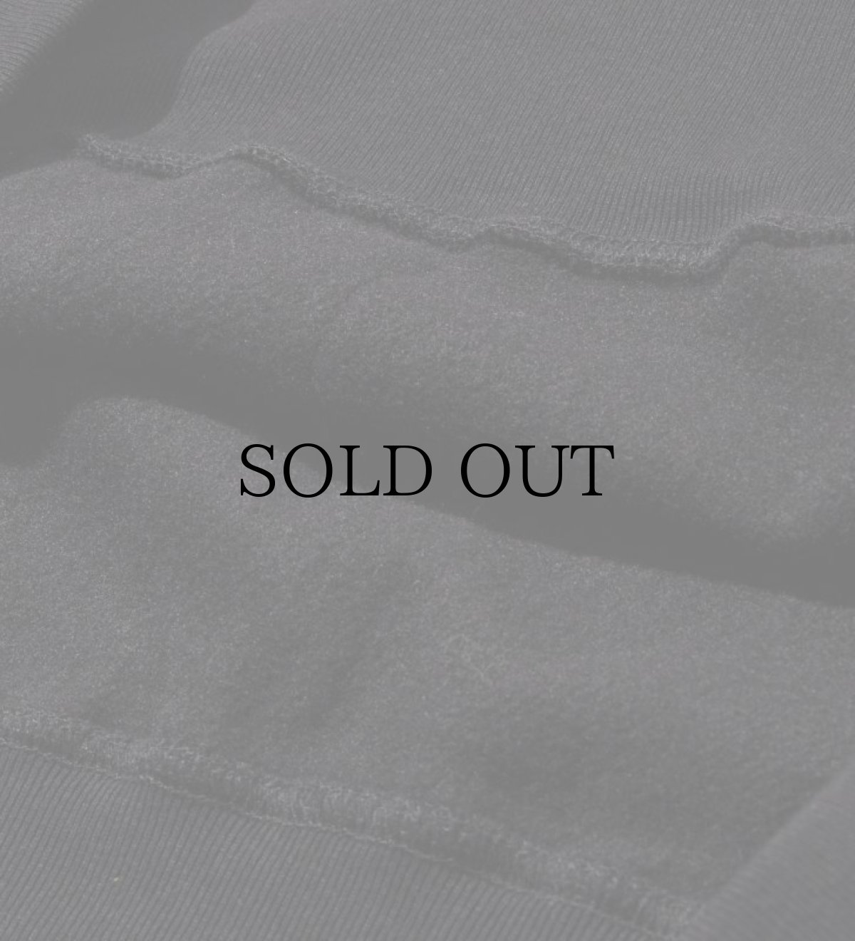 画像15: APPLEBUM(アップルバム) / "JDL" Crew Sweat (15)