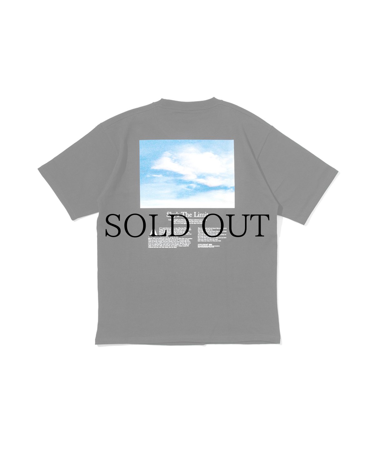 画像1: APPLEBUM(アップルバム) / "Sky's the Limit" T-shirt (1)