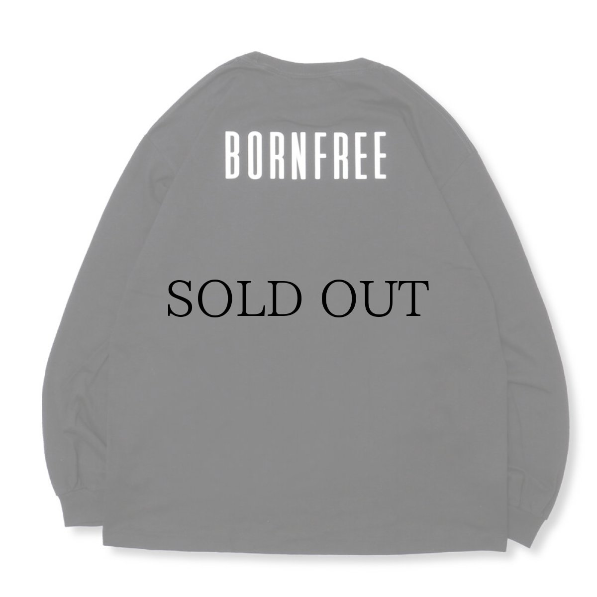 画像4: HIDEANDSEEK / BORN FREE L/S Tee (4)