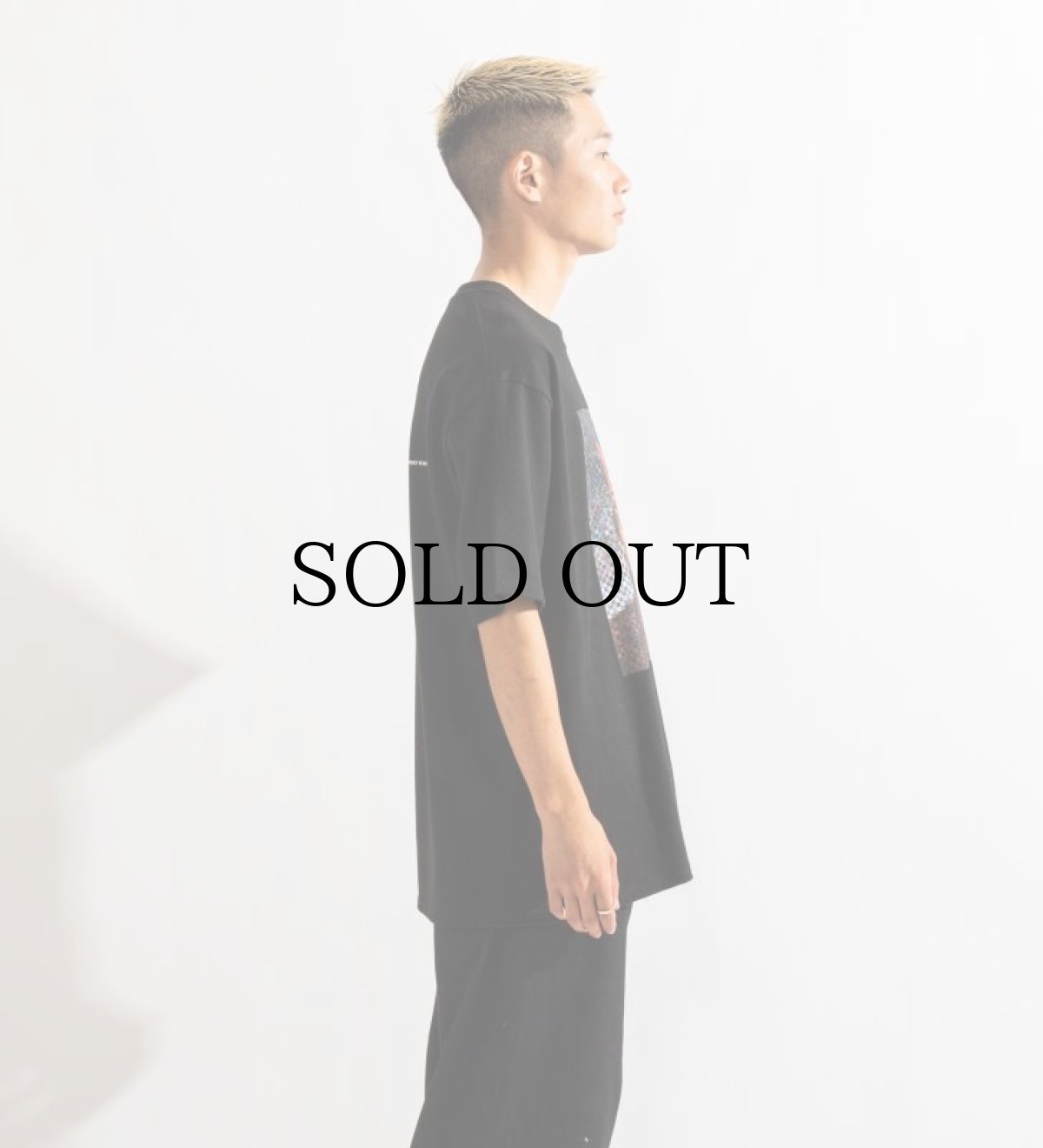 画像9: APPLEBUM(アップルバム) / "Work of Mosaic Art(濱口健)" T-shirt (9)