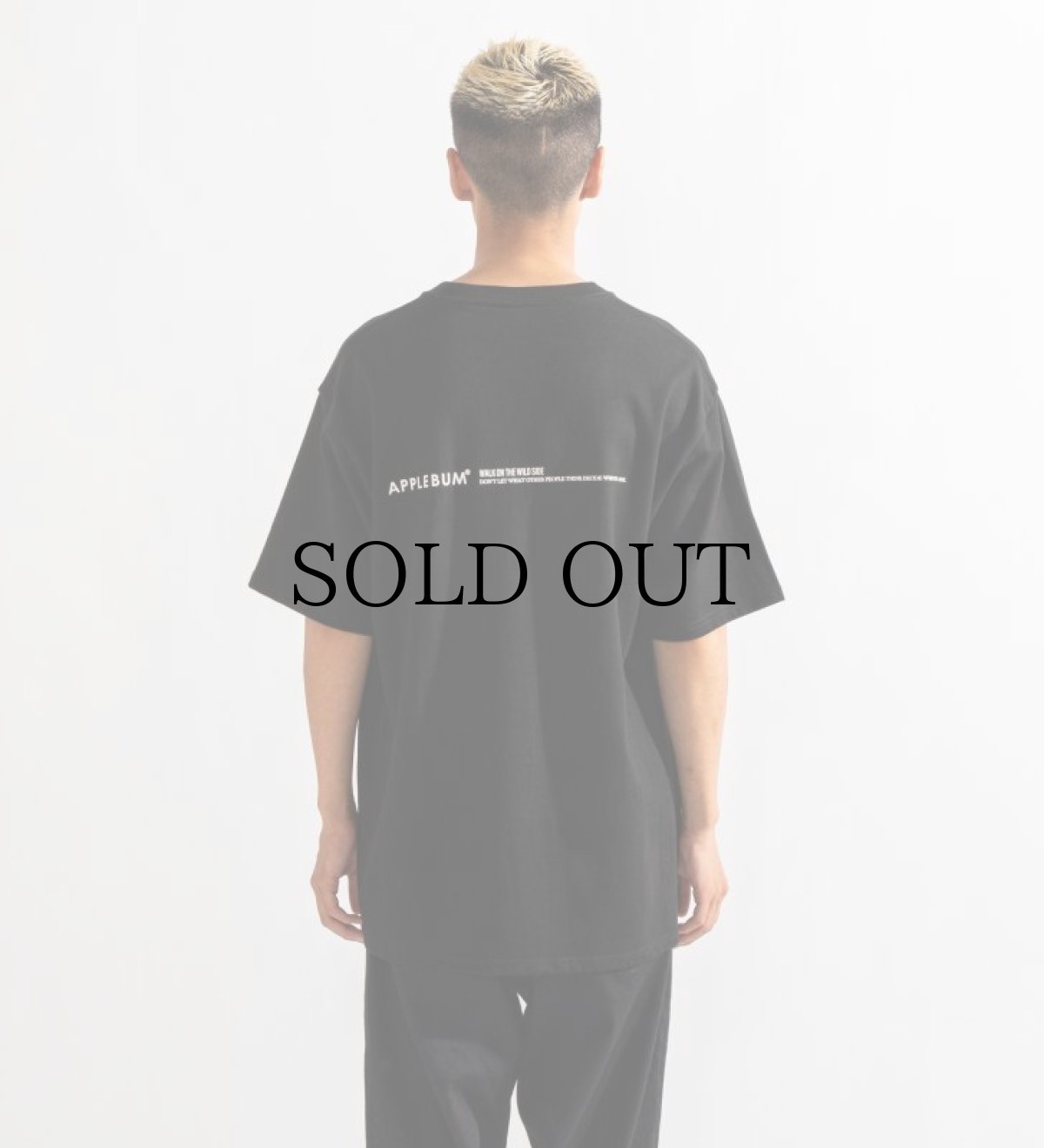 画像10: APPLEBUM(アップルバム) / "Work of Mosaic Art(濱口健)" T-shirt (10)