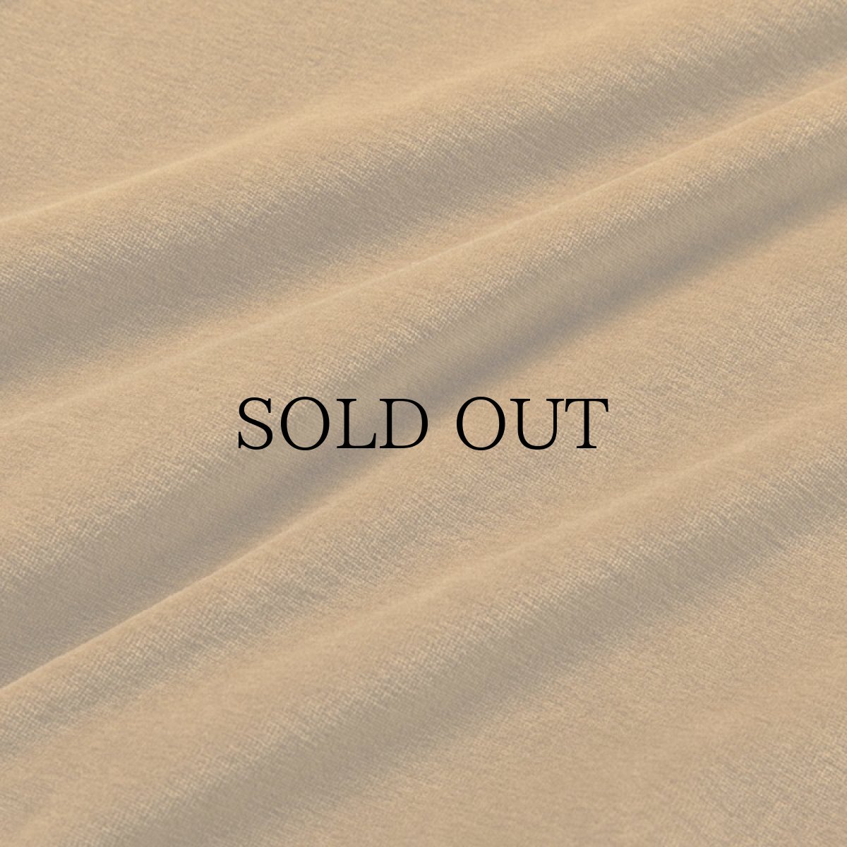 画像6: CALEE(キャリー) / CAL Logo emboridery velour crew neck sweat (6)