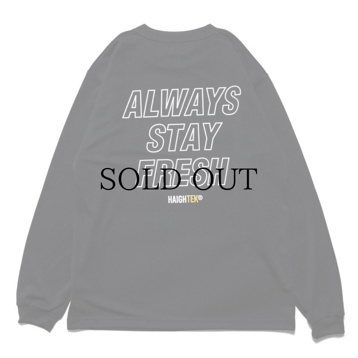 画像9: HAIGHT / HAIGHTEK DRY LS Tee (9)