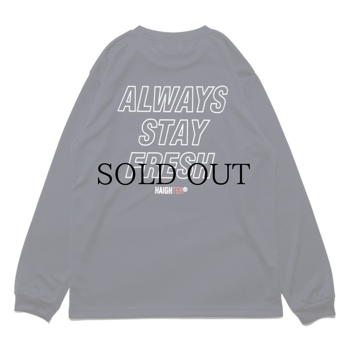 画像12: HAIGHT / HAIGHTEK DRY LS Tee (12)