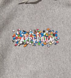 画像5: APPLEBUM(アップルバム) / "Kicks Box Logo" Sweat Parka (5)