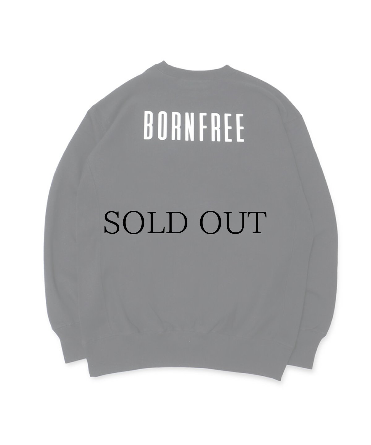 画像2: HIDEANDSEEK / BORN FREE Sweat Shirt (2)