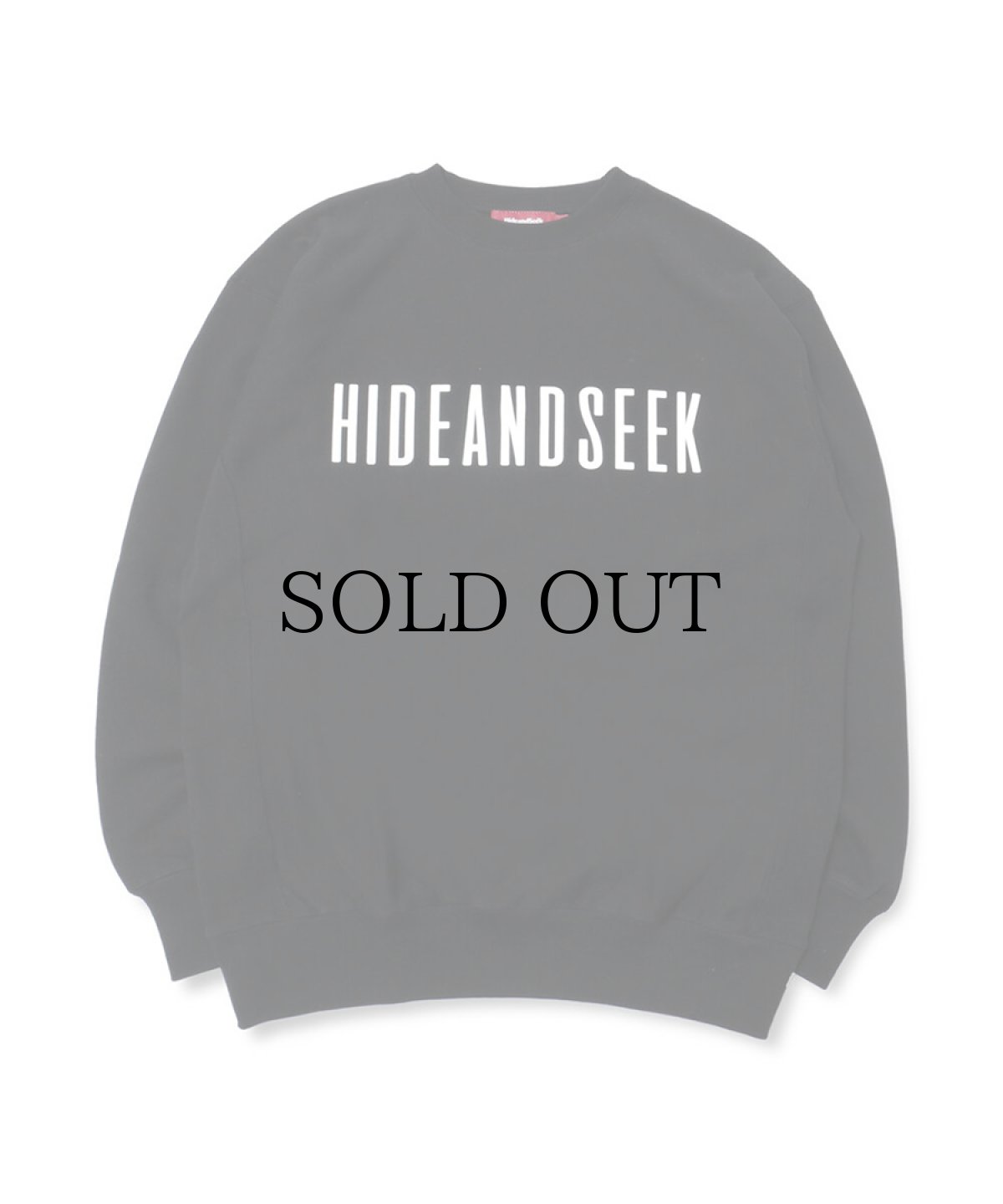 画像1: HIDEANDSEEK / BORN FREE Sweat Shirt (1)