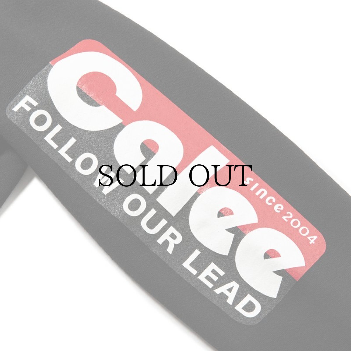 画像8: CALEE(キャリー) / CALEE Rules crew neck sweat -Naturally paint design- (8)