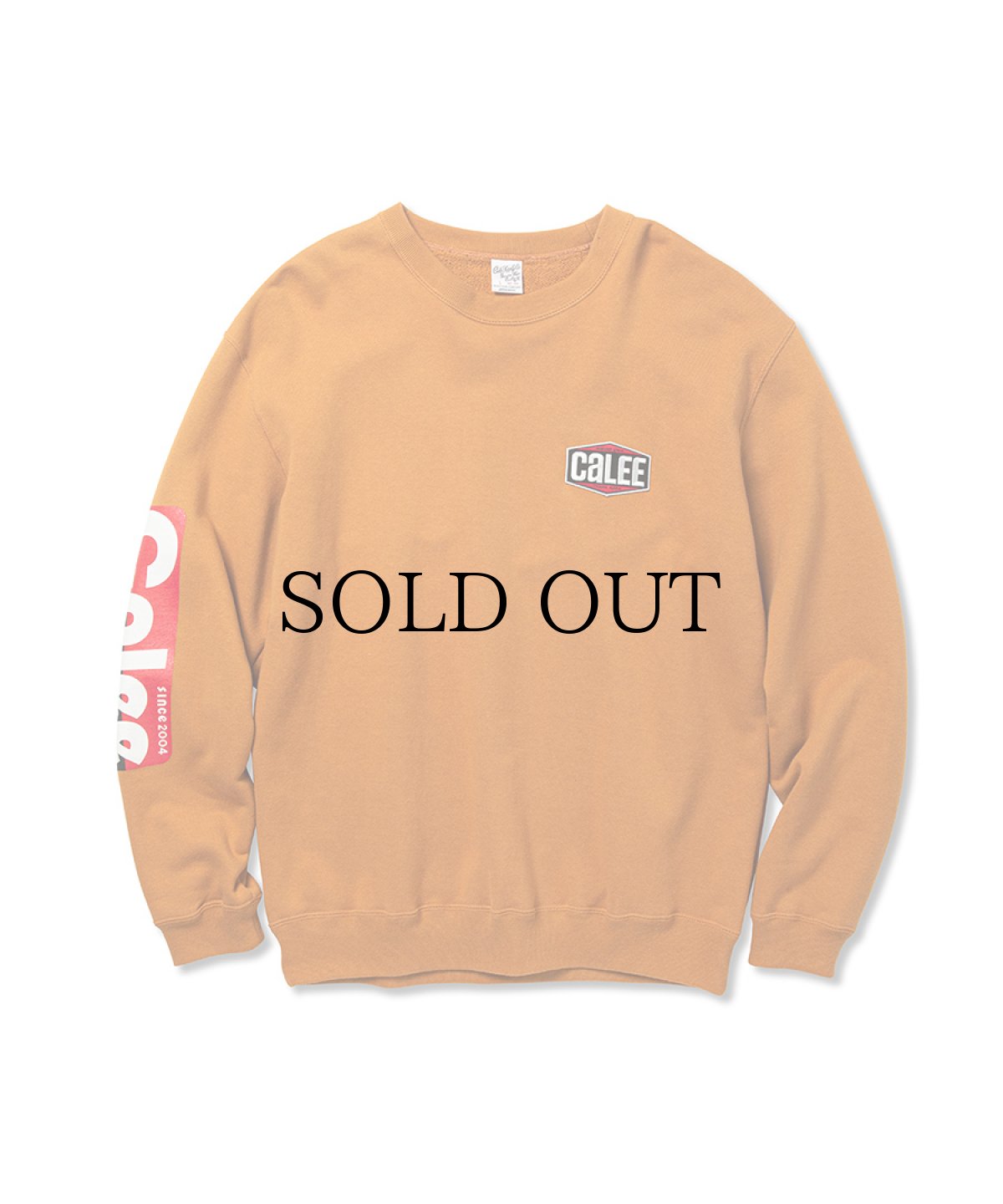 画像2: CALEE(キャリー) / CALEE Rules crew neck sweat -Naturally paint design- (2)