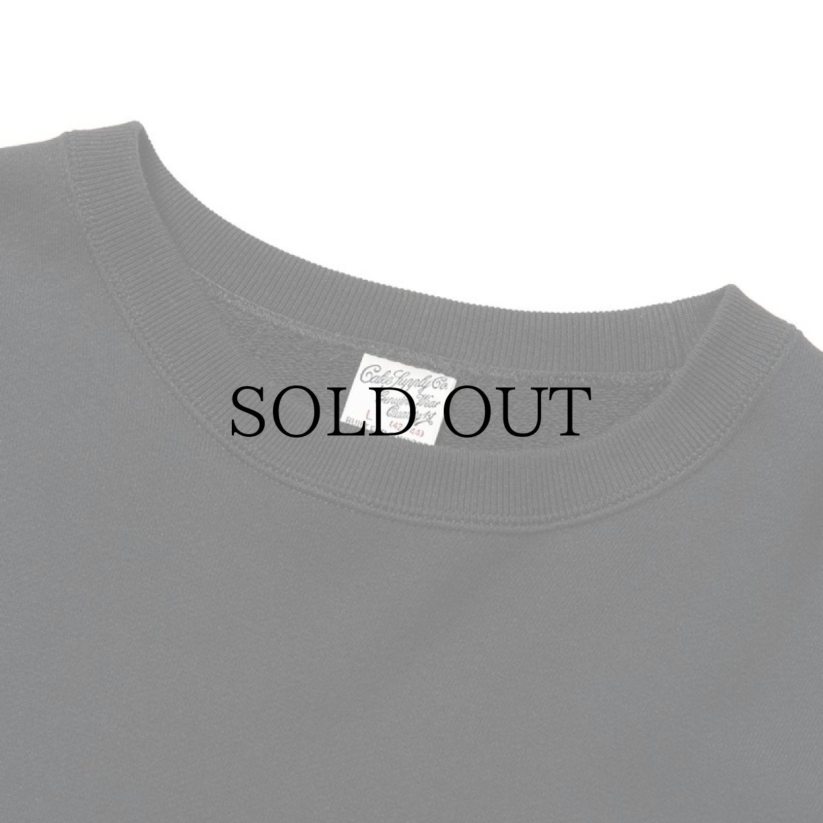 画像7: CALEE(キャリー) / CALEE Rules crew neck sweat -Naturally paint design- (7)