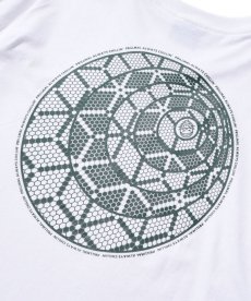 画像6: PRILLMAL(プリルマル) / MELT WHEEL !!! L/S T-SHIRTS (6)