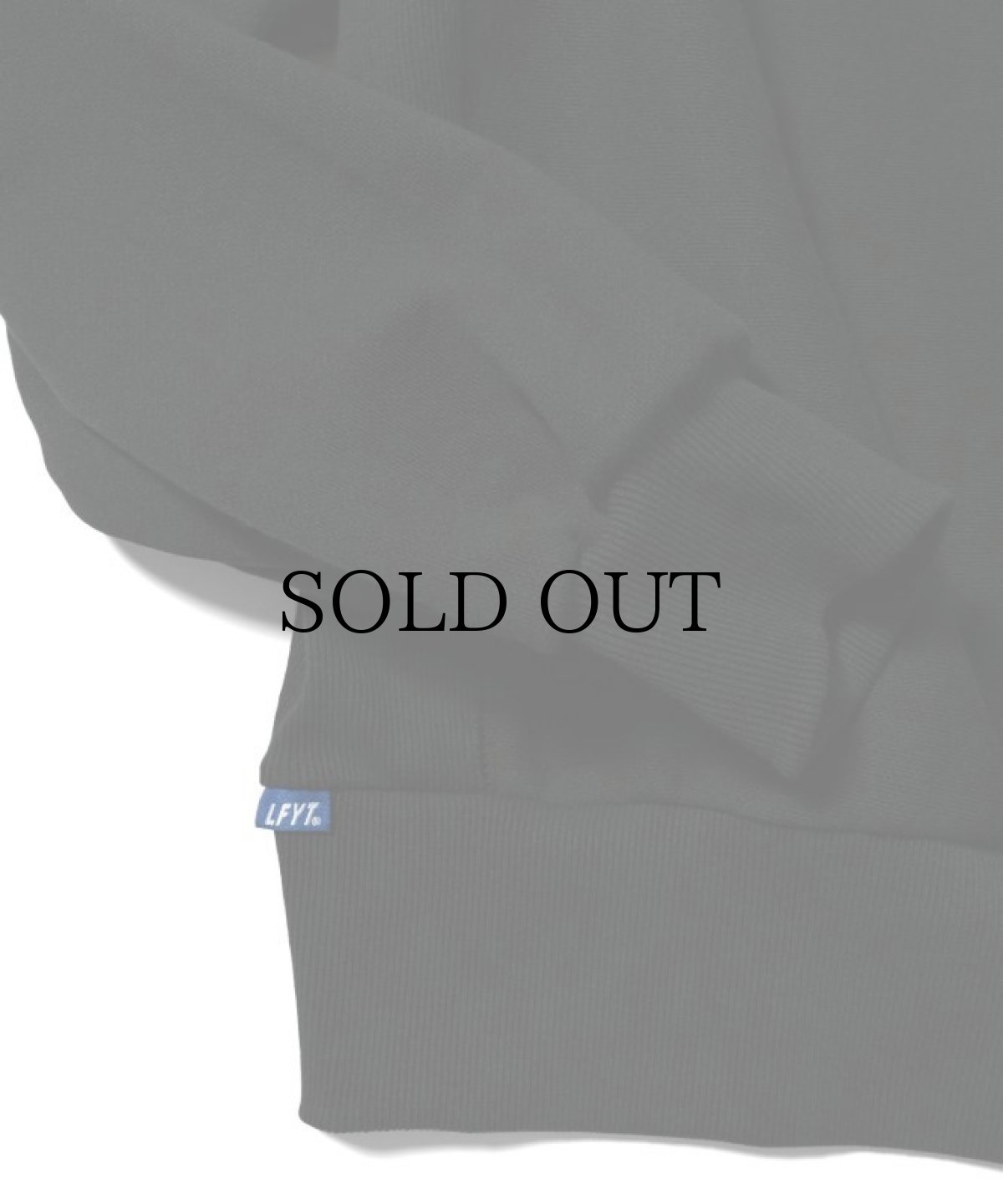 画像11: 【30%OFF】LFYT(ラファイエット) / MINI LF LOGO US COTTON CREWNECK (11)