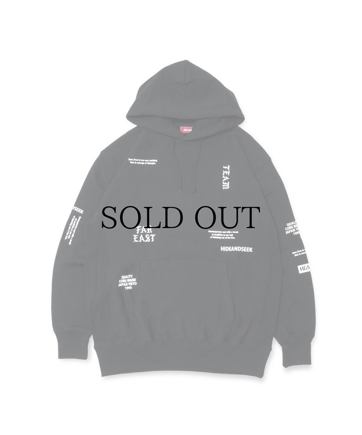 画像2: HIDEANDSEEK(ハイドアンドシーク) / TEAM FAR EAST Hooded Sweat Shirt (2)