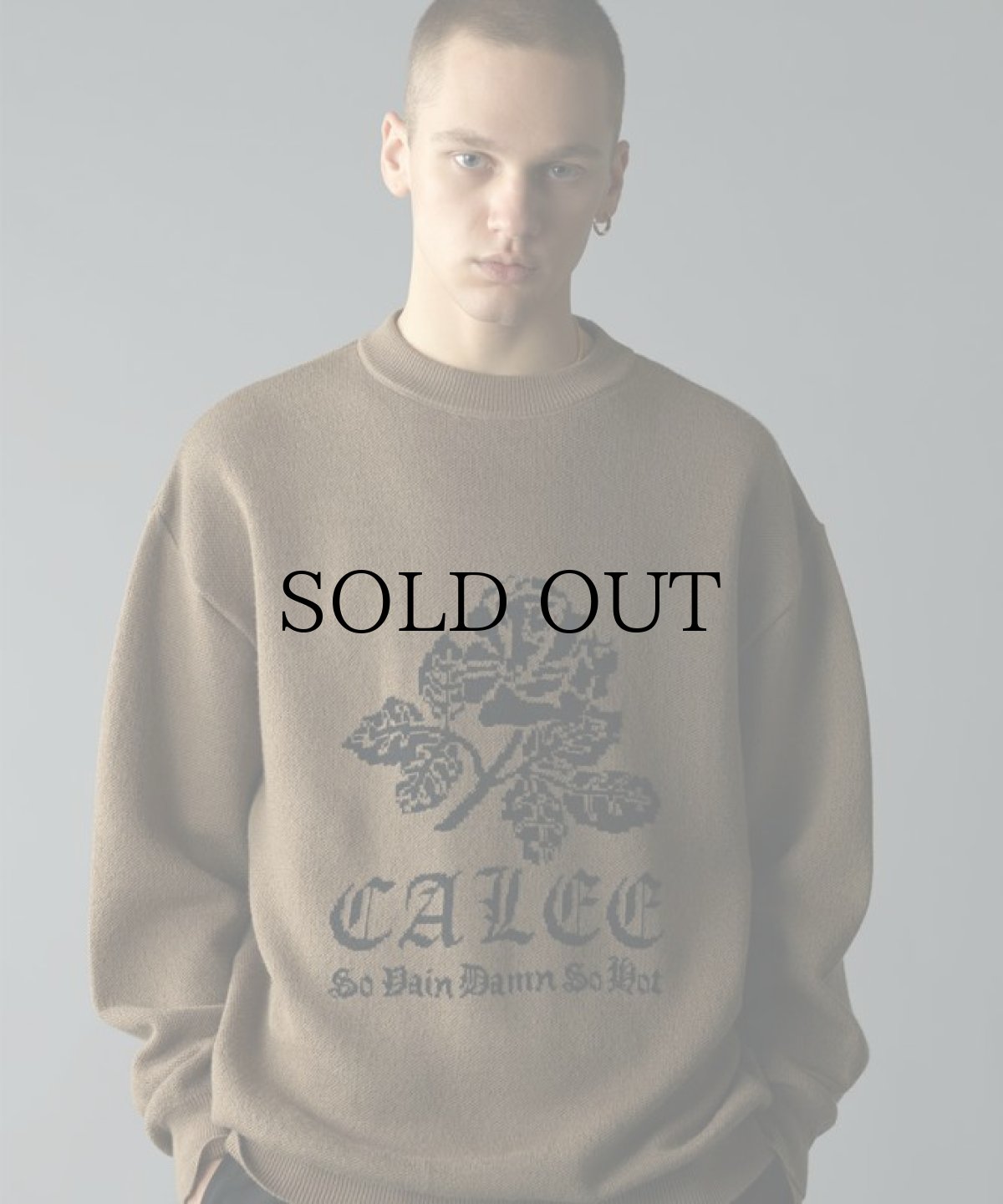 画像1: CALEE(キャリー) / 12 Gauge first sight jacquard crew neck knit sweater (1)