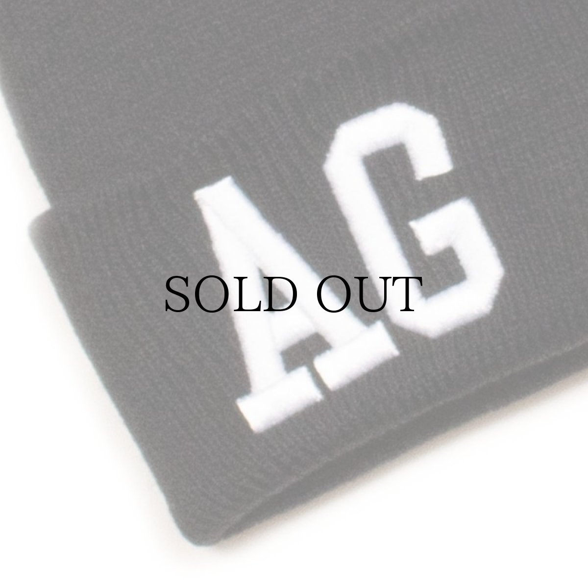 画像11: ACAPULCO GOLD / TEAM AG BEANIE (LONG BODY) (11)