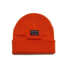 画像8: ACAPULCO GOLD / TEAM AG BEANIE (LONG BODY) (8)