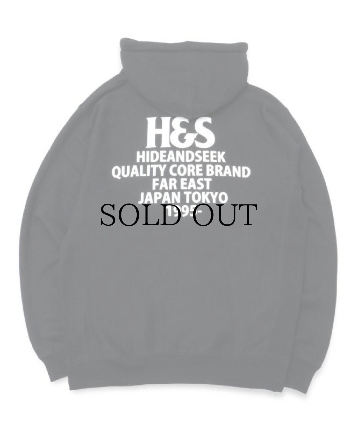 画像3: HIDEANDSEEK(ハイドアンドシーク) / H&S Logo Hooded Sweat Shirt(22aw) (3)