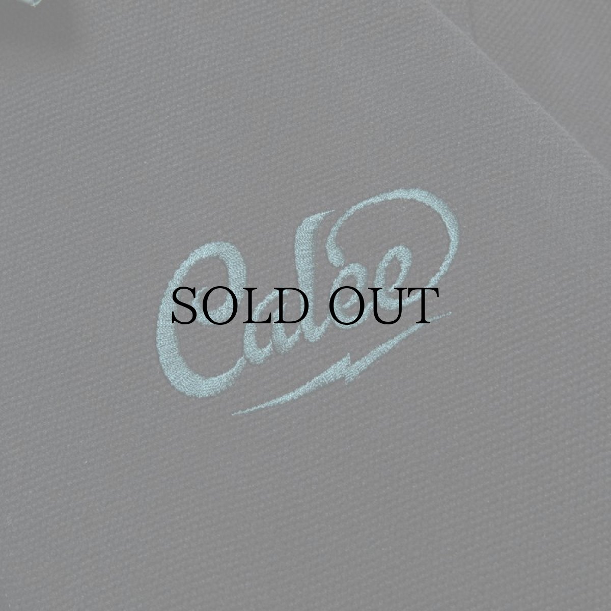 画像7: CALEE(キャリー) / CALEE Logo embroidery sports type jacket (7)