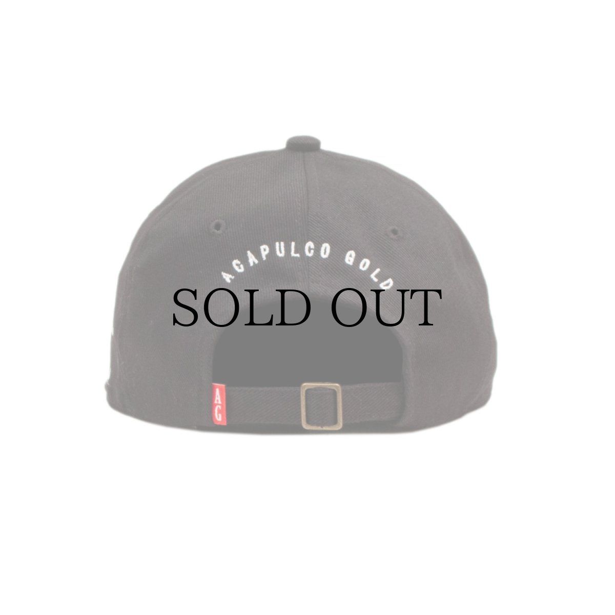 画像10: ACAPULCO GOLD / AG LEAGUE 6-PANEL CAP (10)