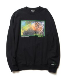 画像2: Back Channel(バックチャンネル) / SPACE ROYALS 420 CREW SWEAT (2)