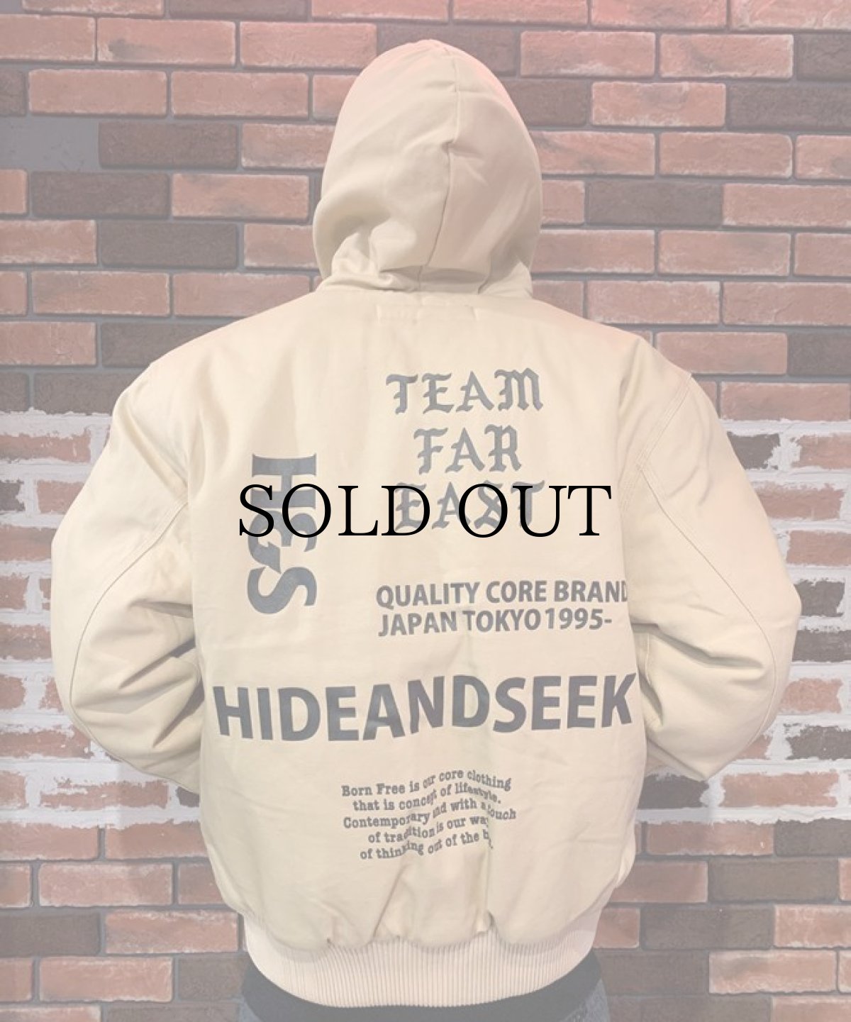 画像4: HIDEANDSEEK(ハイドアンドシーク) / Duck Hooded Jacket (4)