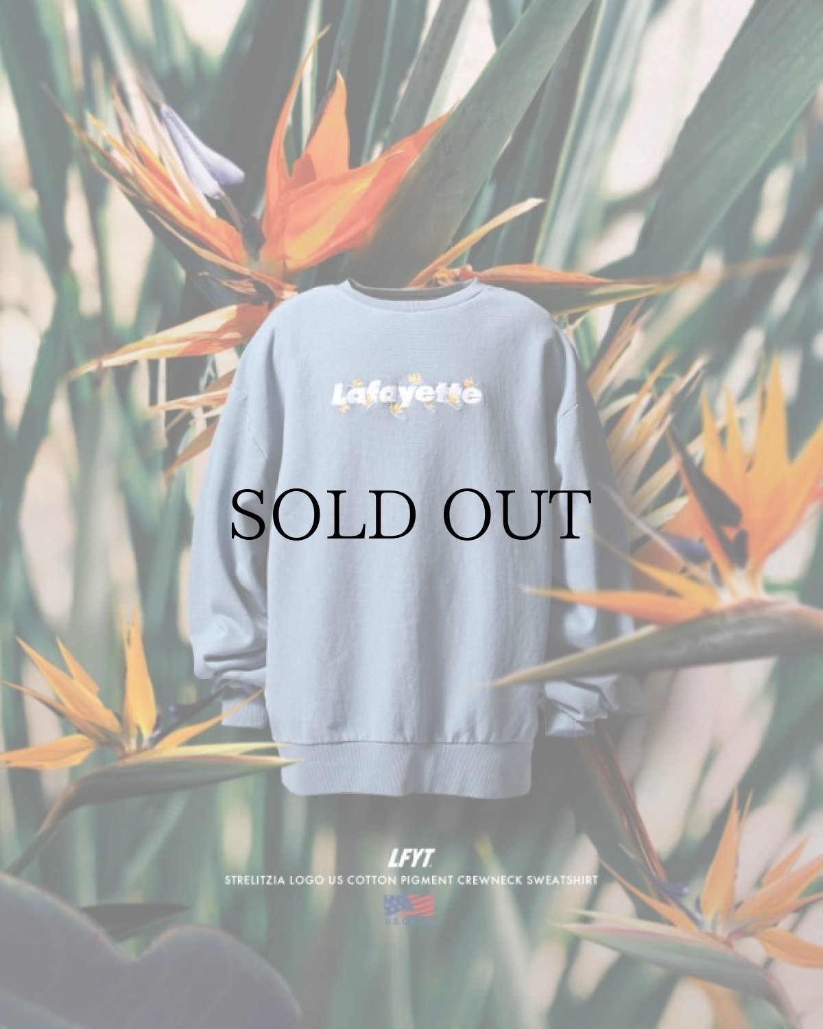 画像1: LFYT(ラファイエット) / STRELITZIA LOGO US COTTON PIGMENT DYED CREWNECK (1)