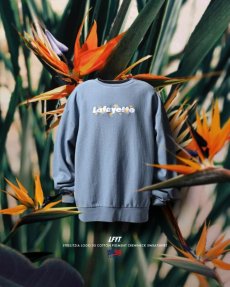 画像1: LFYT(ラファイエット) / STRELITZIA LOGO US COTTON PIGMENT DYED CREWNECK (1)