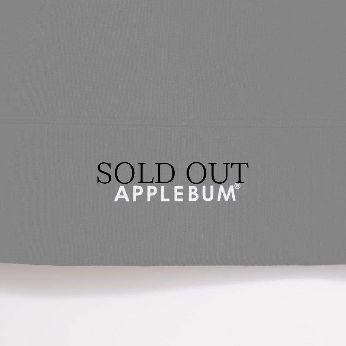 画像9: APPLEBUM(アップルバム) / Elite Performance Parka (9)