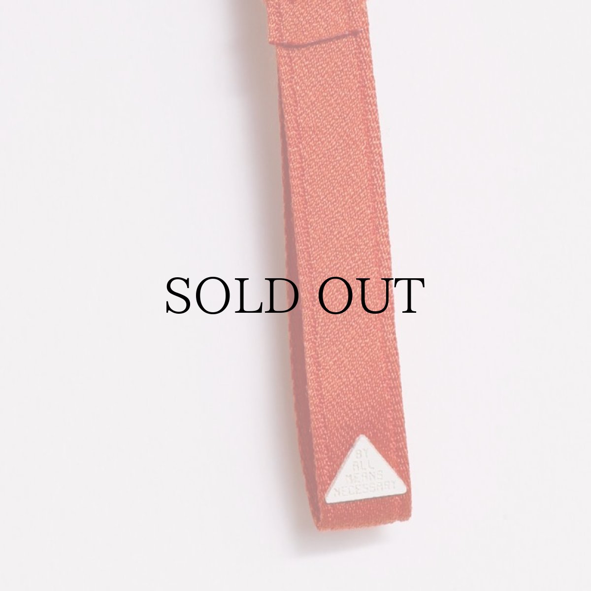 画像8: APPLEBUM(アップルバム) / Elite Performance Parka (8)