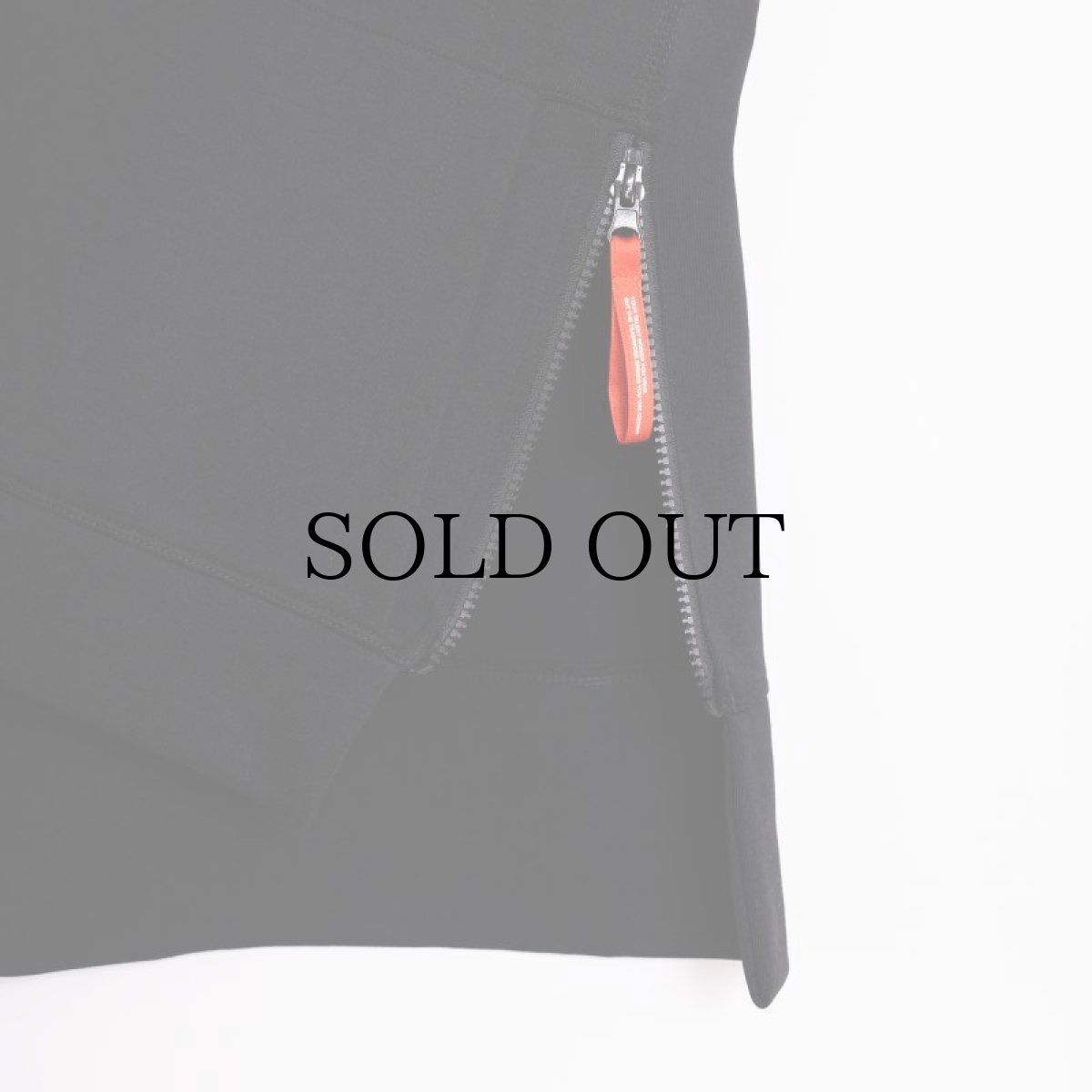 画像6: APPLEBUM(アップルバム) / Elite Performance Parka (6)