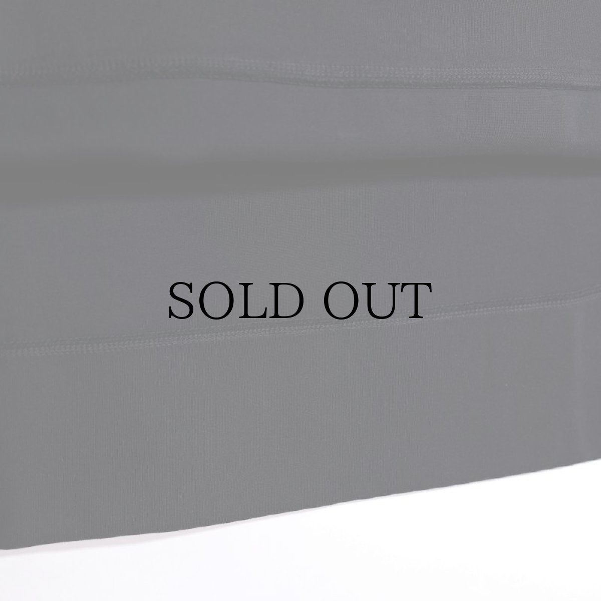 画像10: APPLEBUM(アップルバム) / Elite Performance Parka (10)