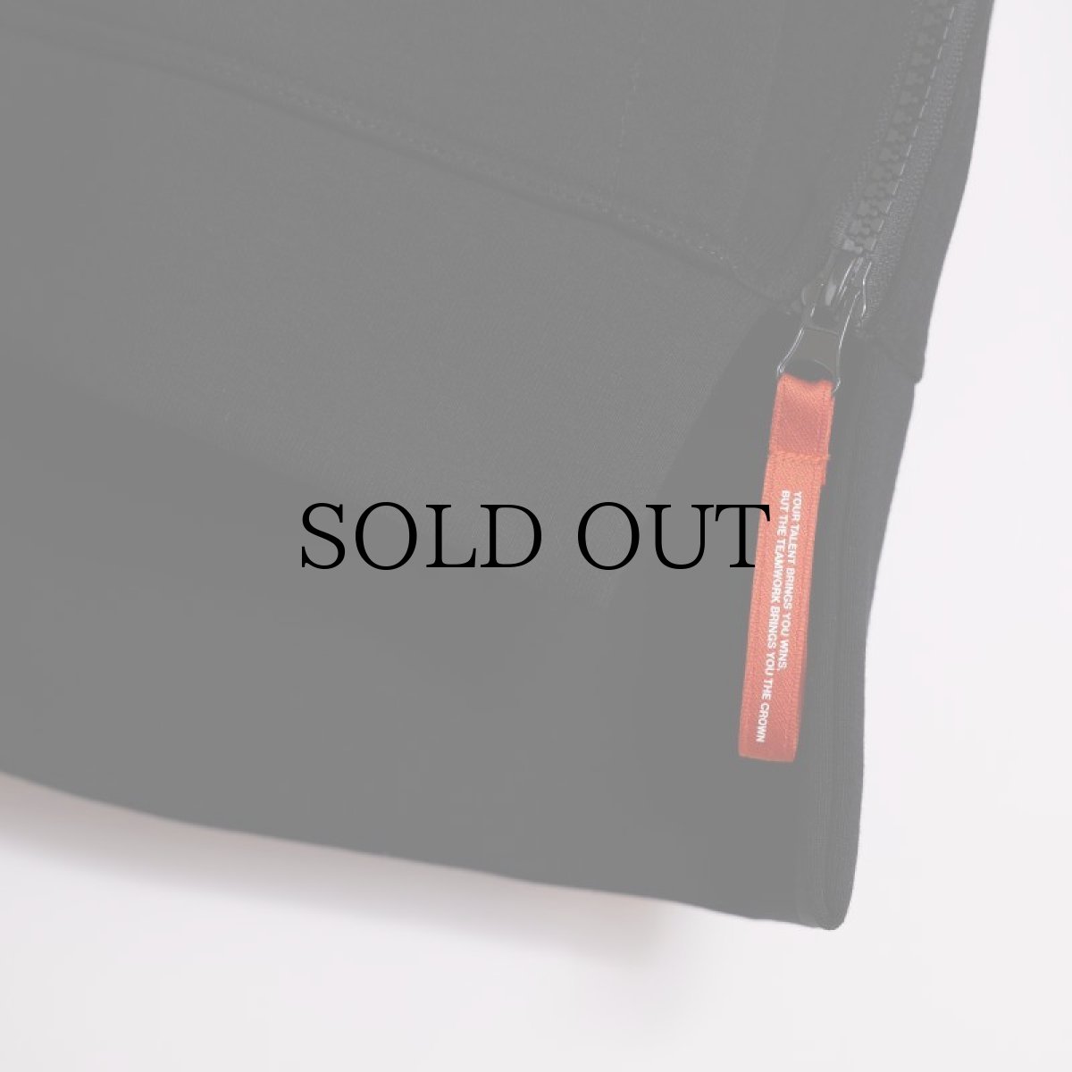 画像7: APPLEBUM(アップルバム) / Elite Performance Parka (7)