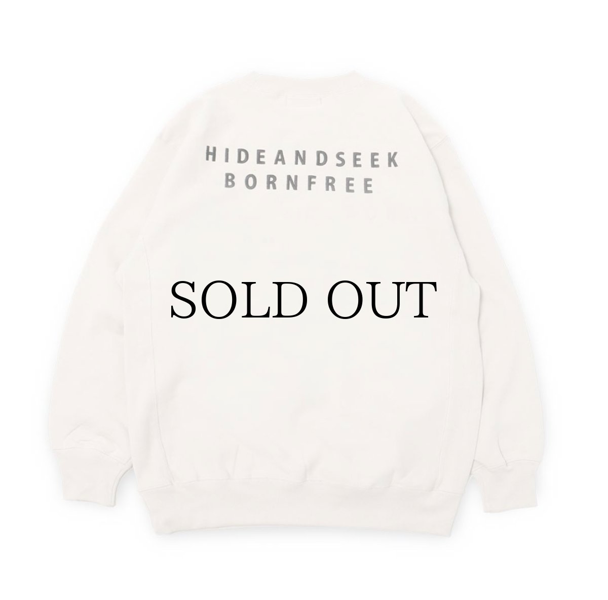 画像3: HIDEANDSEEK(ハイドアンドシーク) / BORN FREE Sweat Shirt (23ss) (3)