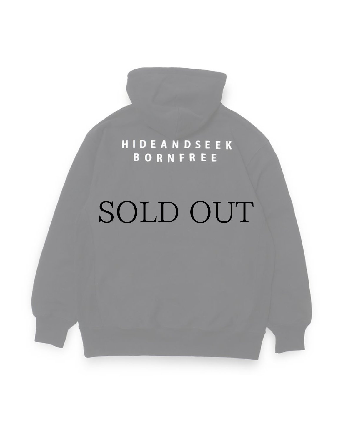 画像3: HIDEANDSEEK(ハイドアンドシーク) / BORN FREE Hooded Sweat Shirt (23ss) (3)