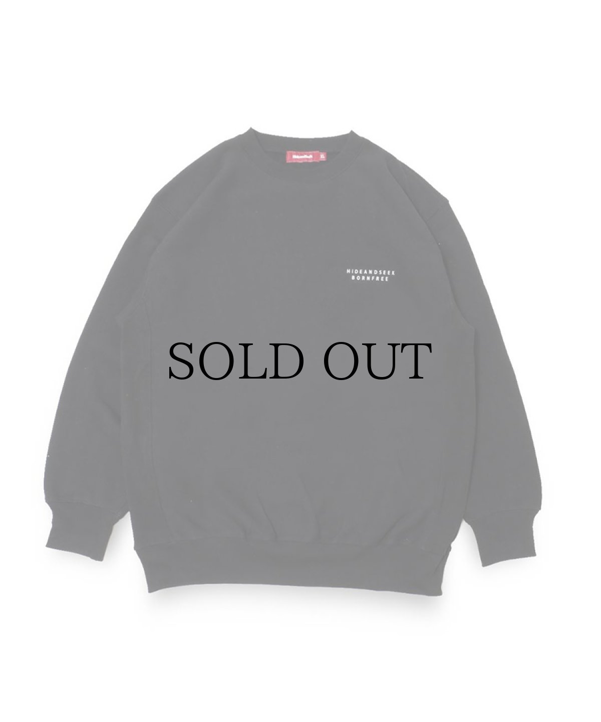 画像2: HIDEANDSEEK(ハイドアンドシーク) / BORN FREE Sweat Shirt (23ss) (2)