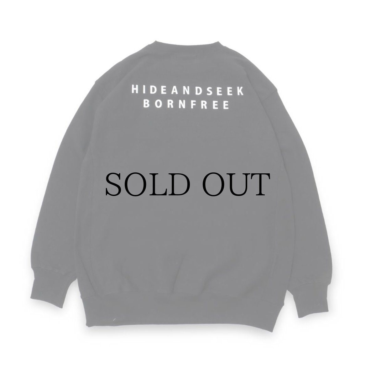 画像4: HIDEANDSEEK(ハイドアンドシーク) / BORN FREE Sweat Shirt (23ss) (4)