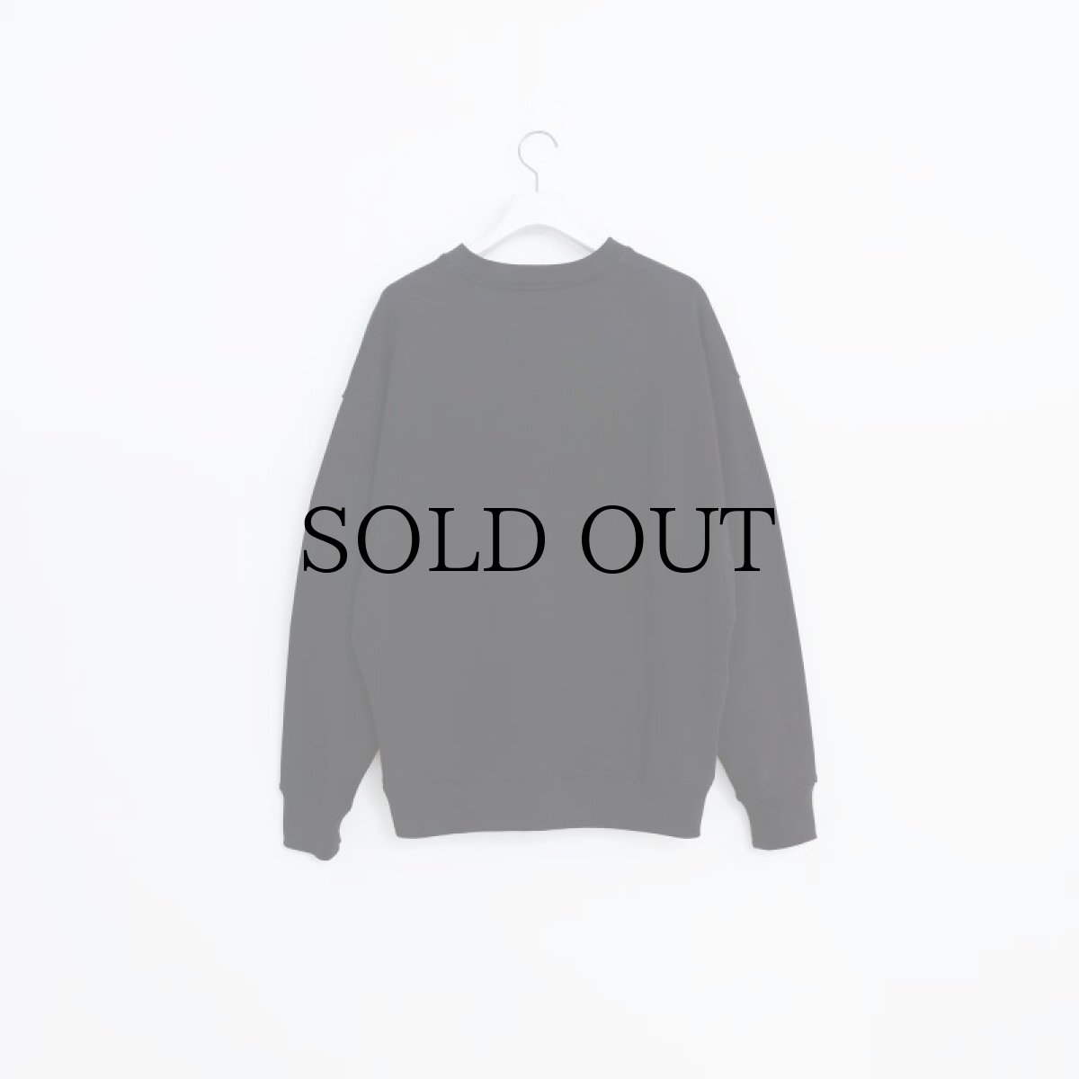 画像5: APPLEBUM(アップルバム) / Solid Color Crew Sweat (5)