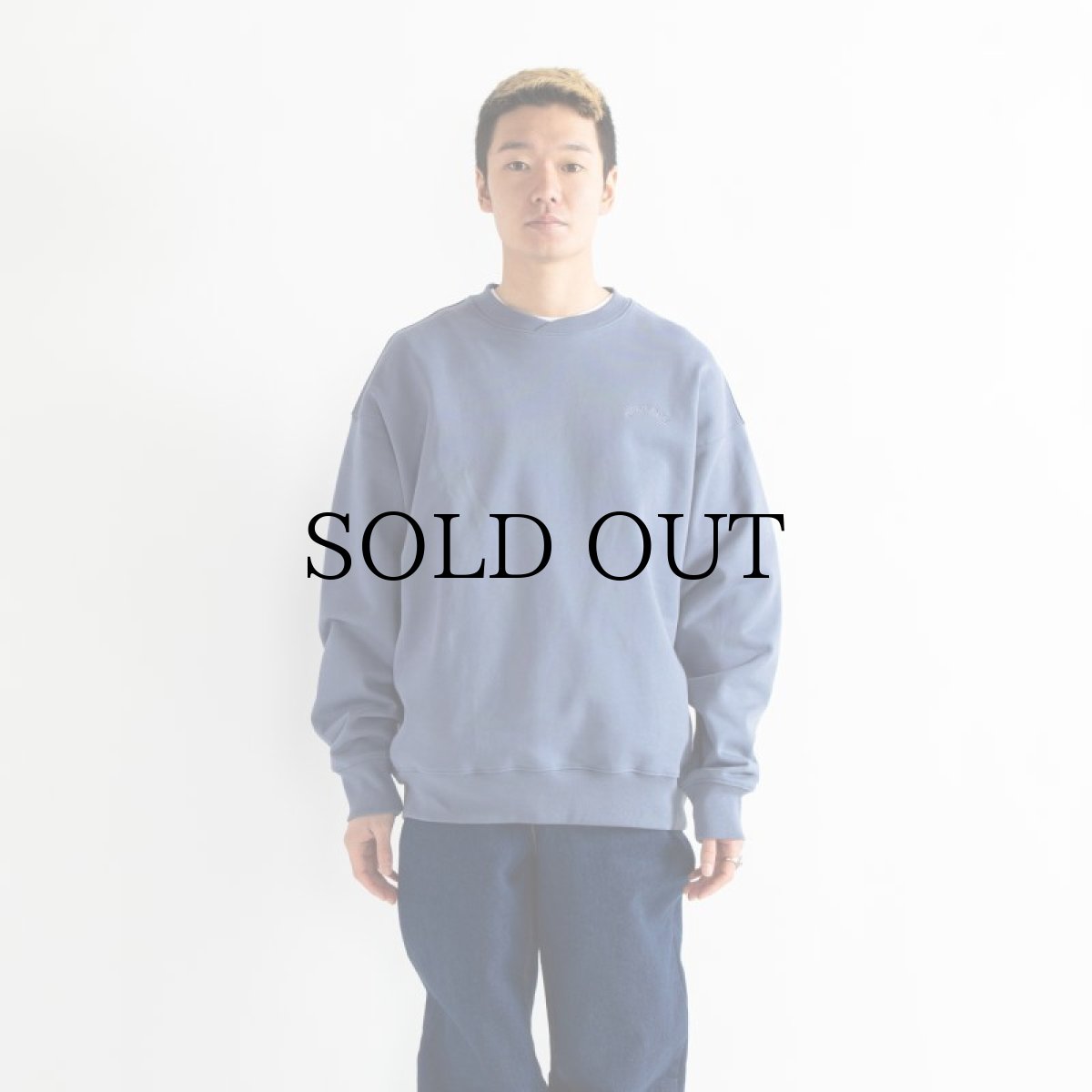 画像17: APPLEBUM(アップルバム) / Solid Color Crew Sweat (17)