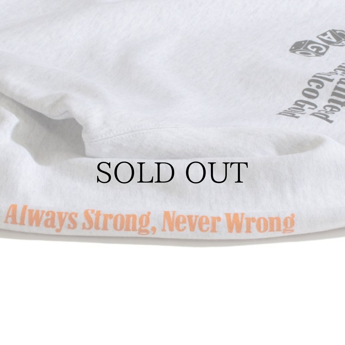 画像9: 【30%OFF】ACAPULCO GOLD / BRONCO CREW SWEAT SHIRTS (9)