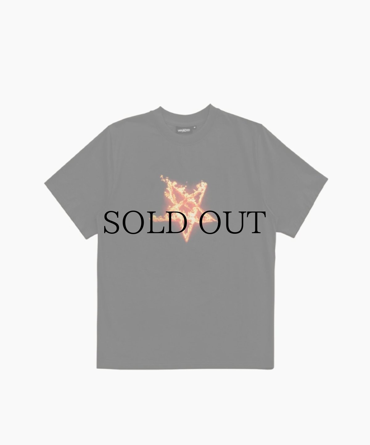 画像1: WASTED PARIS / T-SHIRT CHAOS (1)