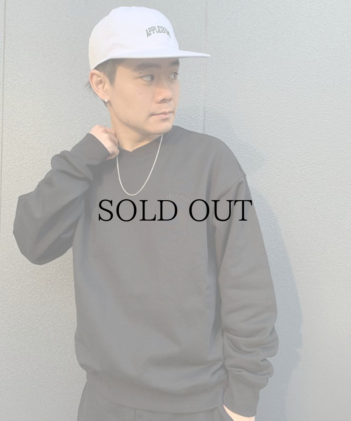 画像2: APPLEBUM(アップルバム) / Solid Color Crew Sweat (2)