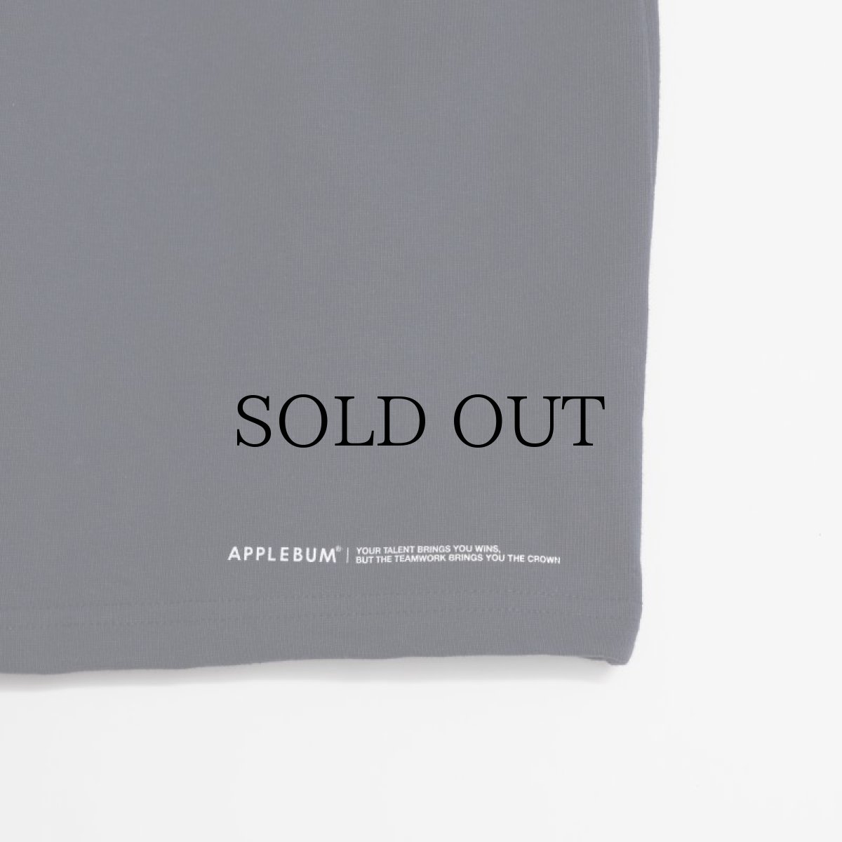 画像5: APPLEBUM(アップルバム) / Tricolore Pocket T-shirt (5)