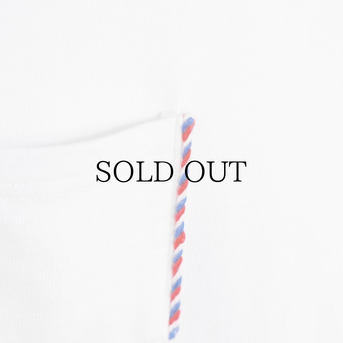 画像10: APPLEBUM(アップルバム) / Tricolore Pocket T-shirt (10)