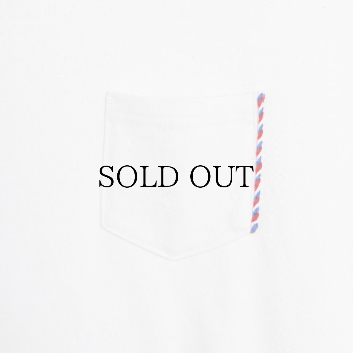 画像8: APPLEBUM(アップルバム) / Tricolore Pocket T-shirt (8)